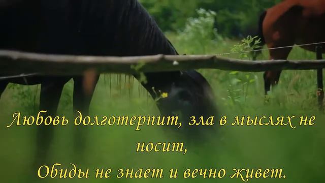 "Мы каждый день экзамены сдаём" - Иван Косован смотреть онлайн