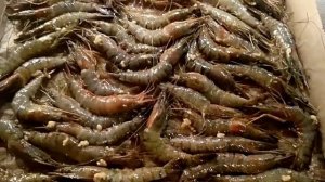 Лучший рецепт быстрого приготовления креветок в духовке!