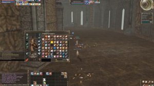 Lineage2 HF pvp  Elemental Summoner