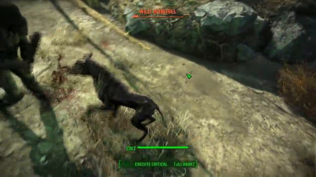 Fallout 4 - Wild Mongrel Den, Raider Dog Owner (Unmarked Location) смотреть онлайн