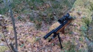 Hatsan Flash Pup 5.5 мм (хатсан флеш пап 5.5мм)