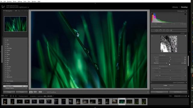 Обработка макро в Lightroom и Photoshop смотреть онлайн