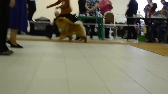 СравнениеЛК 1 смотреть онлайн