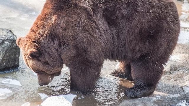 «Отец» - окликнул его незнакомец в тюремной робе. Дед обернулся и замер... смотреть онлайн