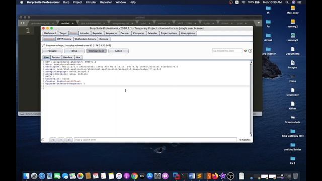 Cross-site scripting (using burp Intruder attack with a different kind of XSS payload) смотреть онлайн