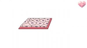 PROСТО О СЛОЖНОМ. Эпителиальные ткани, виды клеток. Гистология №3