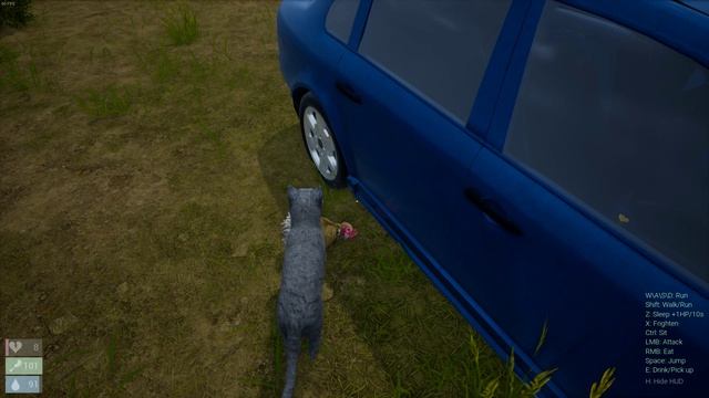 Играем в Cat Simulator: Meow [Сыграем] смотреть онлайн