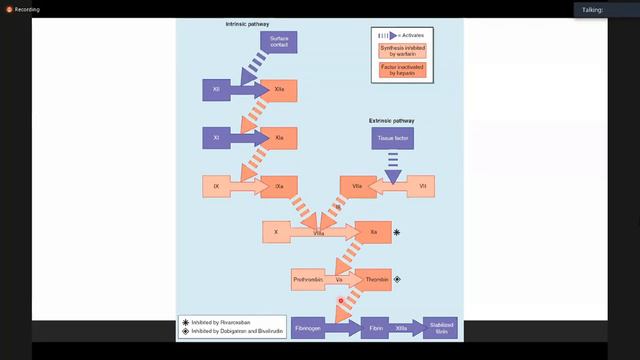សិក្សាអំពីថ្នាំ Beta Blockerលើការគ្រប់គ្រងការចុកទ្រូង