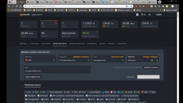 Майнинг XMR CryptoNight V8 pool miningpoolhub, Настройка Hiveos под XMR CryptoNightV8