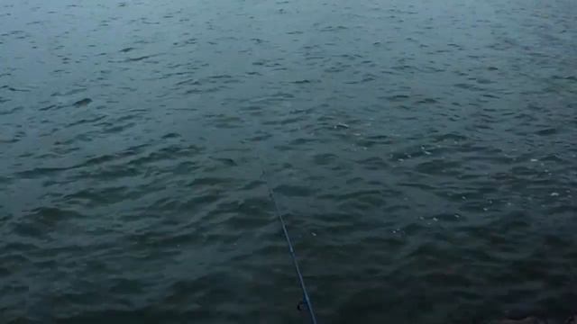 Судак на джиг-спиннинг. смотреть онлайн