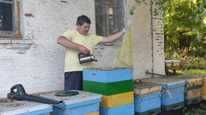 Выдуваем пчел. Аккумуляторная Воздуходувка облегчает жизнь