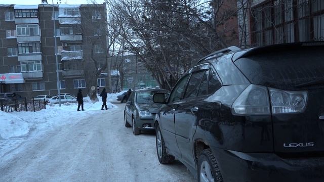 Зимние вайны 