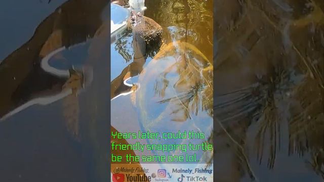 Fishing Always Surprises Me! смотреть онлайн