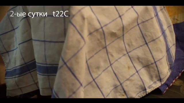 карп кои инкубация икры смотреть онлайн