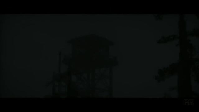 в видео лис@reizi смотреть онлайн