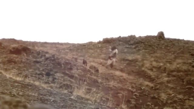 Жуткие Рождественские Монстры и Легенды смотреть онлайн