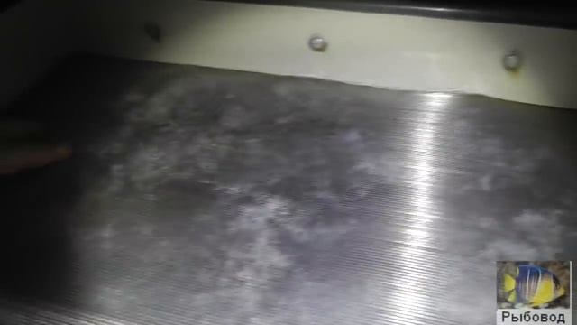 Инкубационный цех ! Incubation Workshop