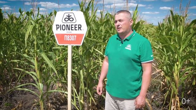 Агрополигон ФосАгро в Балаково Саратовской области смотреть онлайн