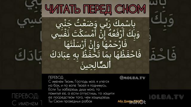 ЧИТАТЬ ПЕРЕД СНОМ смотреть онлайн