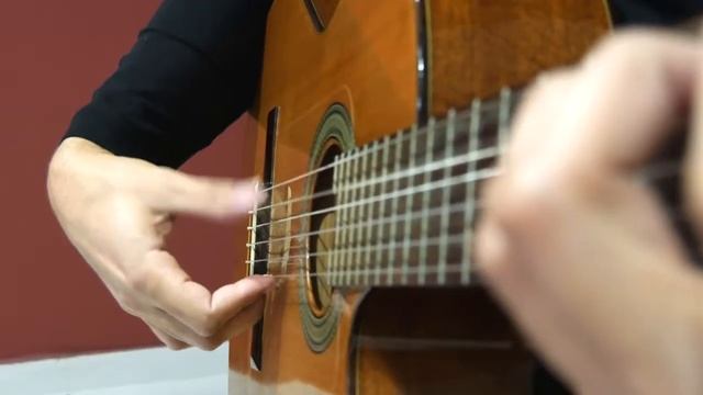 Malagueña ‒ Ernesto Lecuona | Flamenco Guitar смотреть онлайн