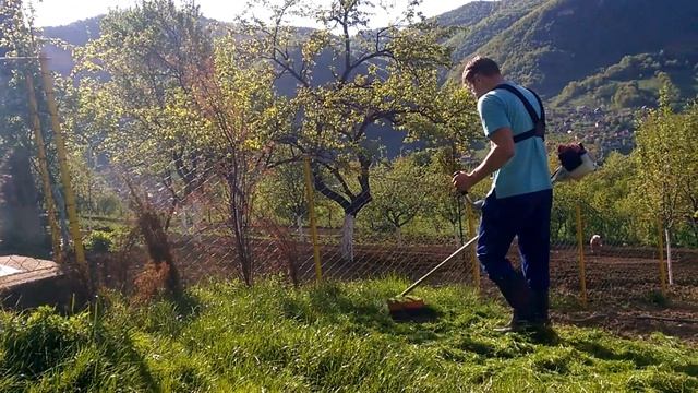Stihl FS 120