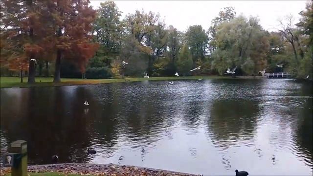 Осень... красиво и грустно.. смотреть онлайн