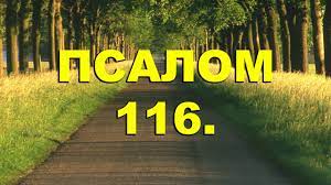 ✞Псалом 116, Псалом Давиду✞ смотреть онлайн