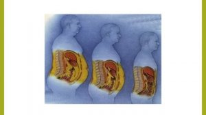 Пищевые продукты,питательные вещества и их превращения в организме