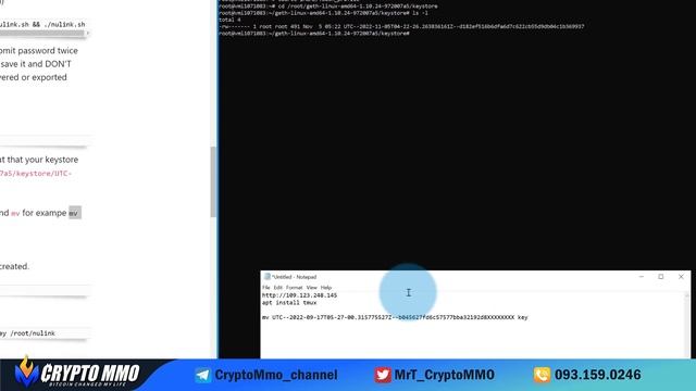 Hướng Dẫn Chạy Node NULINK - Dự Án Được Binance Labs Đầu Tư смотреть онлайн
