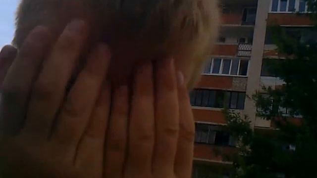 АМЕРИКАНЕЦ В БЕЛАРУСИ 4 (ПРЯТКИ) смотреть онлайн