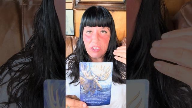Spirit Animal oracle смотреть онлайн
