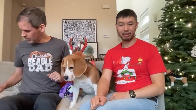 Oliver's 2023 Christmas livestream; opening his FIRST CHRISTMAS PRESENT of the season! смотреть онлайн