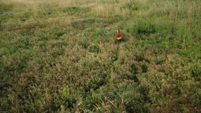 рязанская область, август 2022 смотреть онлайн