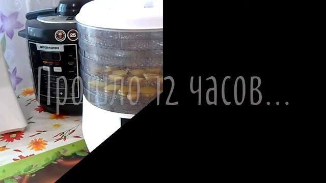 Сушка имбиря в дегидраторе. Здравые рецепты от Светланы Глуховой. смотреть онлайн