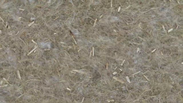 Конопляный фольгированный утеплитель РосЭкоМат Кенаф Фоил для стен и потолка бани и сауны