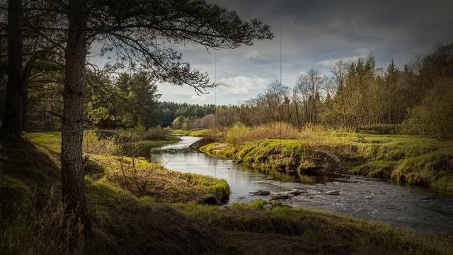 Истории из жизни ? Он вернулся, но она уже нашла себя: любовь жестока? ? Жизненные истории