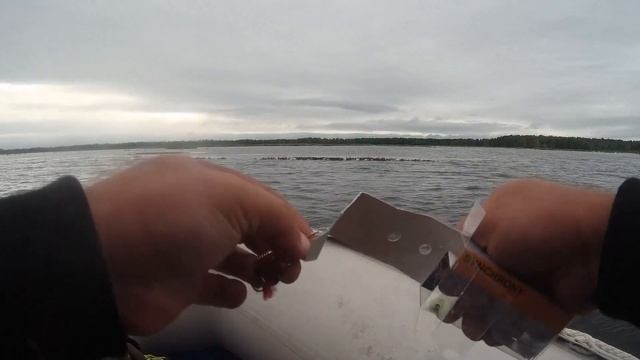 РЫБАЛКА С ДРУЗЬЯМИ НА ЩУКУ НА СЕКРЕТНОМ ОЗЕРЕ В ТВЕРСКОЙ ОБЛАСТИ + У Гарика рыболова день рождения смотреть онлайн