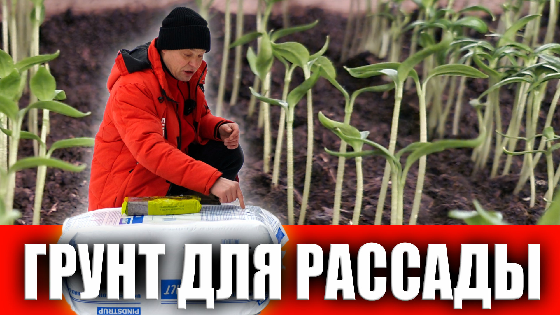 Какой грунт (торф) я выбираю для рассады смотреть онлайн