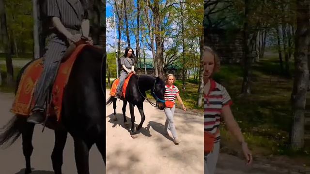 #lifestyle #ваше любимое животное? моё - лошадь смотреть онлайн