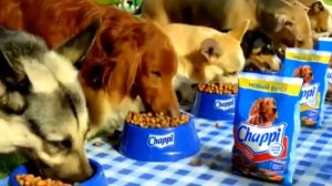 Рекламные видеоролики 2013 года в России.