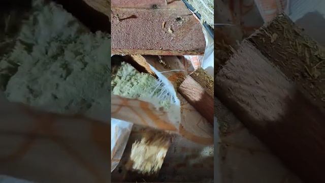 гидроизоляция тайвек спустя 3 года! смотреть онлайн