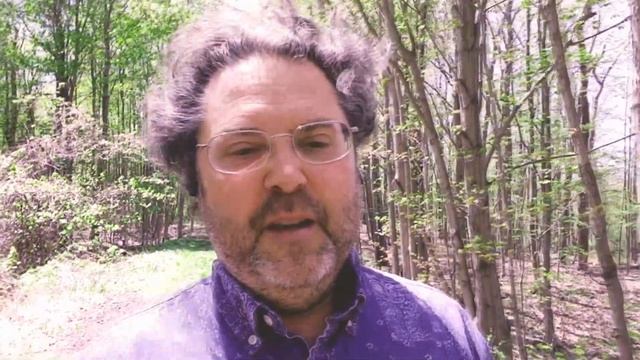 Как правильно направлять свой духовный путь? Как не разбить лоб, когда вас просили в храме молиться смотреть онлайн