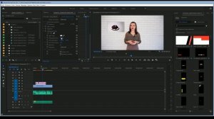 Как в adobe premier pro на вставленную картинку сделать рамку / обводку.