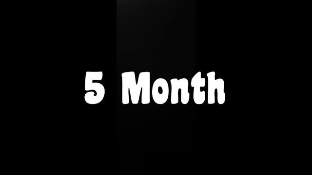 Chicks fast growth video Day 1 to 8 Month || complete growth video of silver hen baby смотреть онлайн