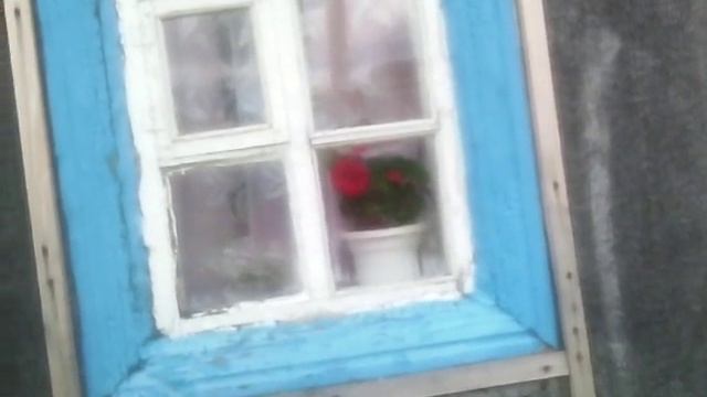 Роза из маминого детства. 18+ смотреть онлайн