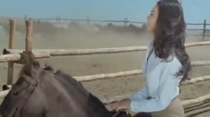 Una Tumba para el Sheriff | Pelicula del Oeste | Pelicula Completa en Espanol