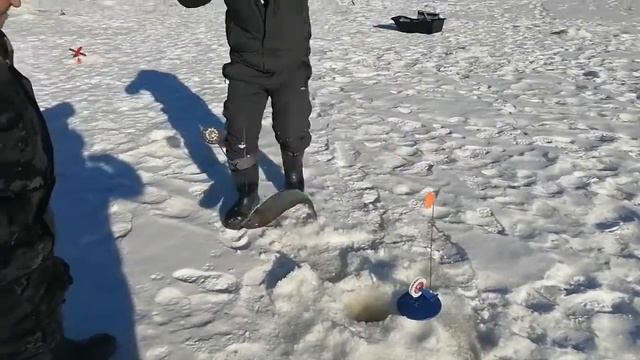 С нами Вадик, с нами Сергей - хорошие ребята, ловят они Форель! смотреть онлайн