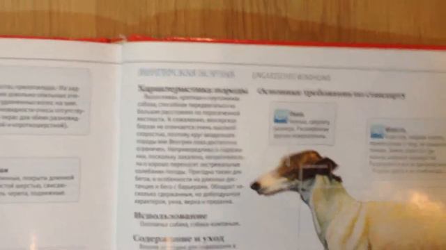 КНИГИ И ЖУРНАЛЫ ПРО СОБАК смотреть онлайн