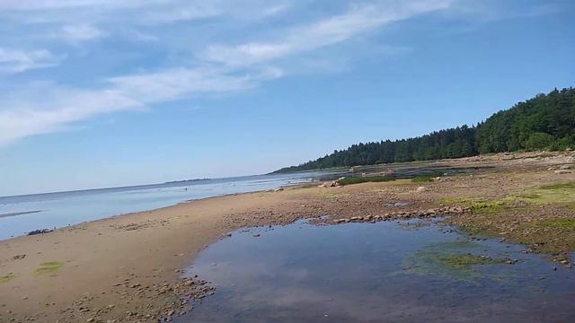 Море п Питере смотреть онлайн