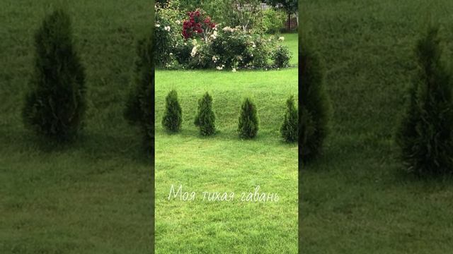 Моя тихая гавань. Дождь в саду смотреть онлайн